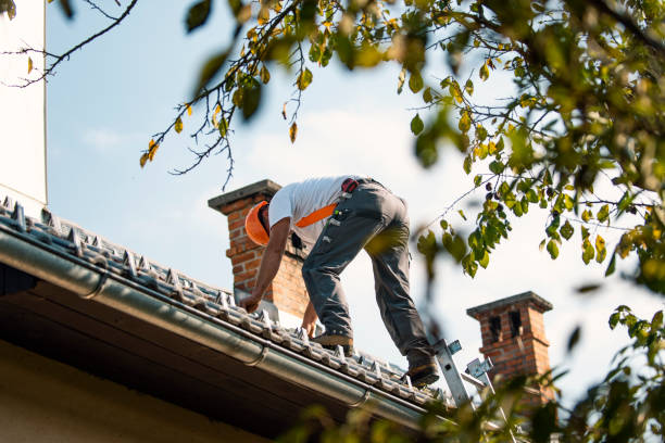 Best Roof Gutter Cleaning  in Lawton, MI