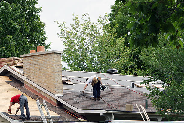 Best Roof Restoration Services  in Lawton, MI