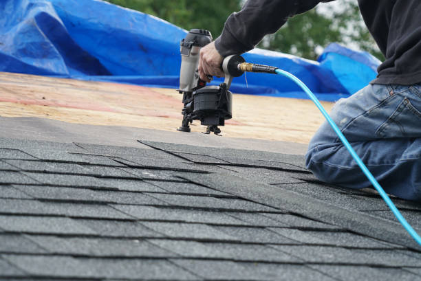 Best Sealant for Roof  in Lawton, MI