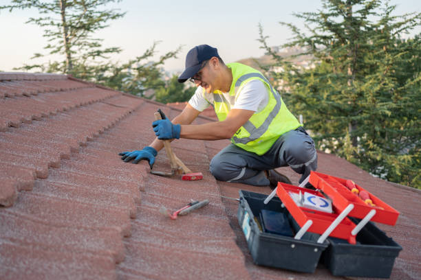 Best Sealant for Roof  in Lawton, MI