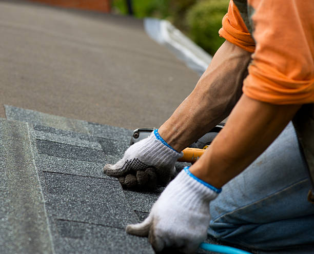 Best Flat Roof Repair Services  in Lawton, MI